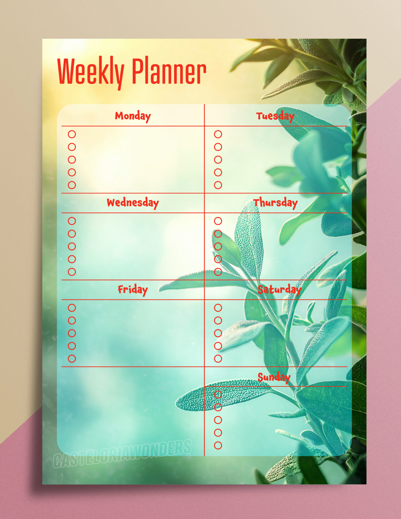 Get Organized - Image 4